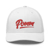 POMM Trucker Cap